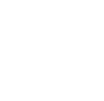 Icono Acceso Biométrico